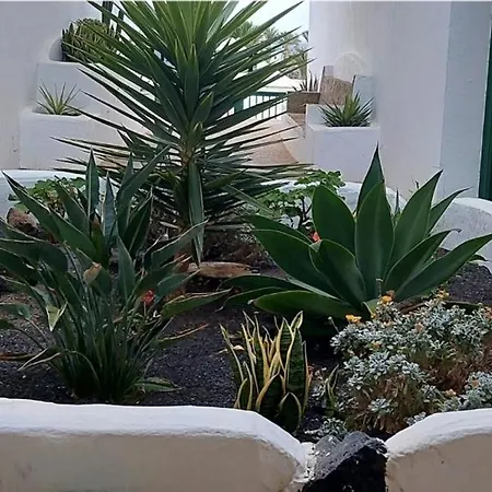 Villatrankila *